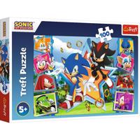 Trefl Puzzle Sonic ismerkedj meg a sündisznóval, 100 darab